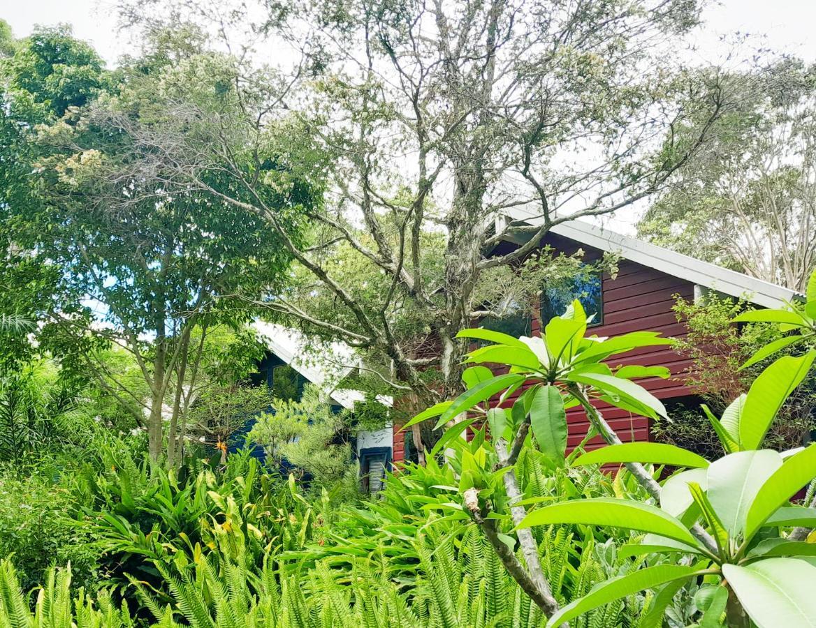 Sky Island Studios Mount Tamborine Buitenkant foto