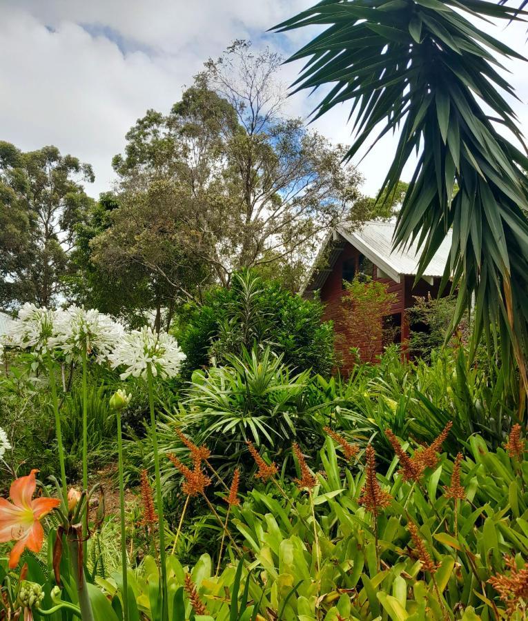 Sky Island Studios Mount Tamborine Buitenkant foto