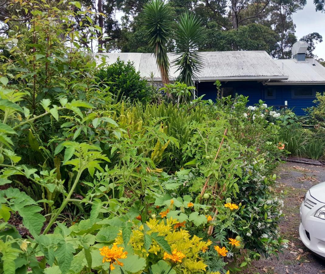 Sky Island Studios Mount Tamborine Buitenkant foto